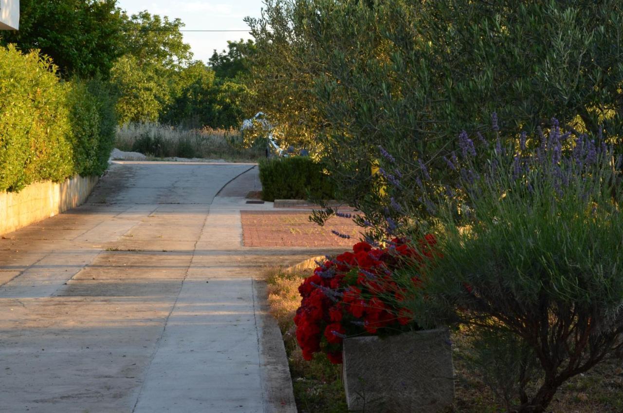 Apartments Tomas Betina  Εξωτερικό φωτογραφία